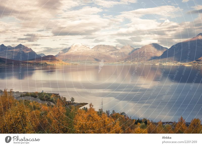 Autumn mood, Scandinavia, Lofoten, Totale Harmonious Calm Adventure Landscape Clouds Mountain Fjord Lofotes Vacation & Travel Horizon Idyll Pure Far-off places