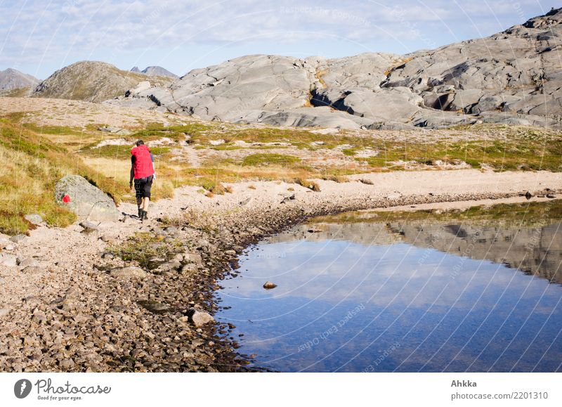 Hikers in the barren nature of Lofoten Vacation & Travel Trip Adventure Mountain Hiking Young man Youth (Young adults) Nature Landscape Elements Climate Rock