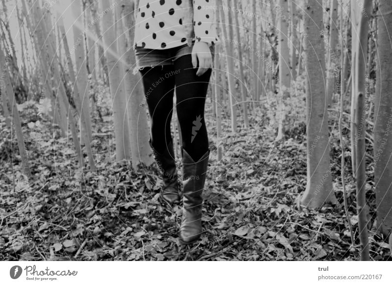 Dots in the forest Feminine Woman Adults Hand Legs 1 Human being Nature Sunlight Autumn Tree Leaf Forest T-shirt Jeans Tights Point Boots Wood Going Hiking