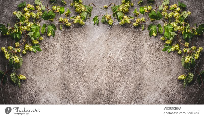 Fresh Hop Frames Style Design Nature Agricultural crop Retro Background picture Symbols and metaphors Twigs and branches Green Ornament Colour photo