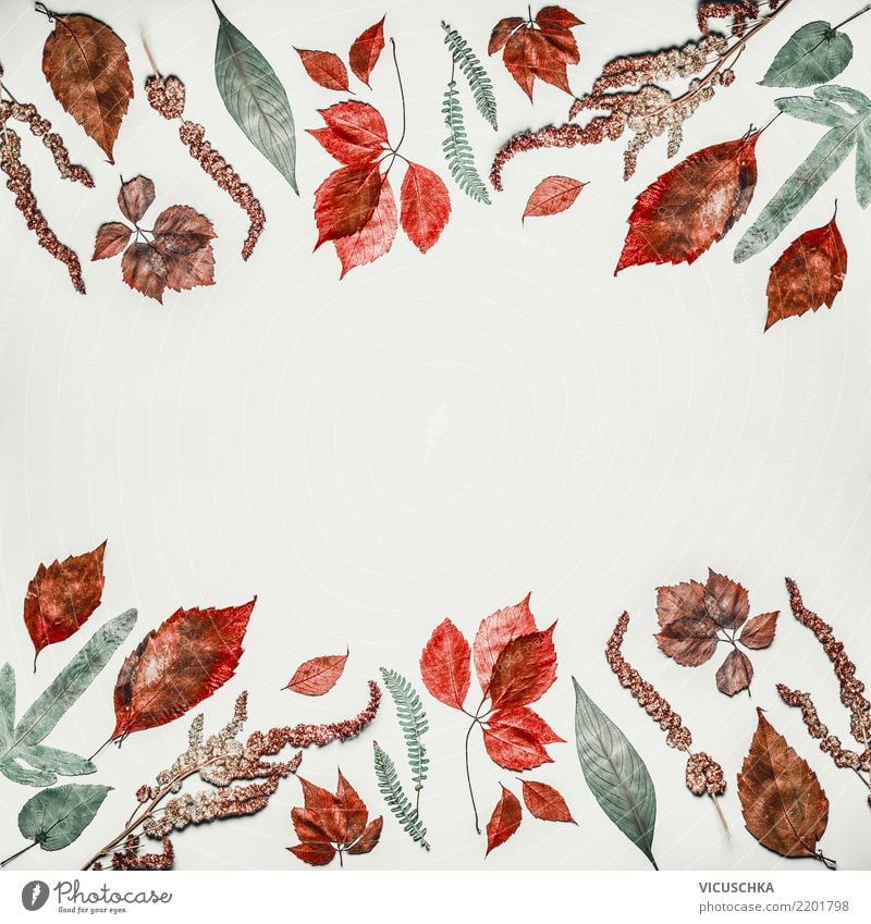 Autumn pattern background frame with autumn leaves Style Thanksgiving Nature Plant Leaf Decoration Hip & trendy Design Arranged Background picture Composing