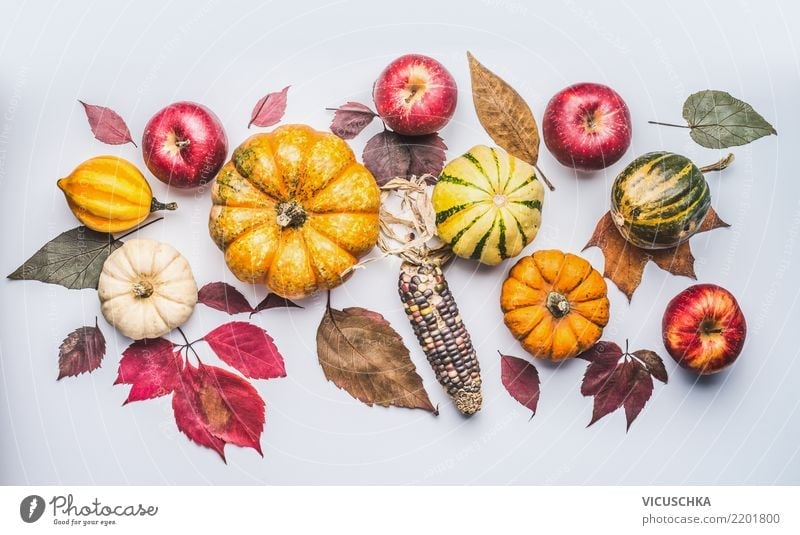 Autumn with pumpkin, apples and leaves Vegetable Apple Style Design Thanksgiving Hallowe'en Nature Plant Decoration Ornament Composing Hipster November Pumpkin