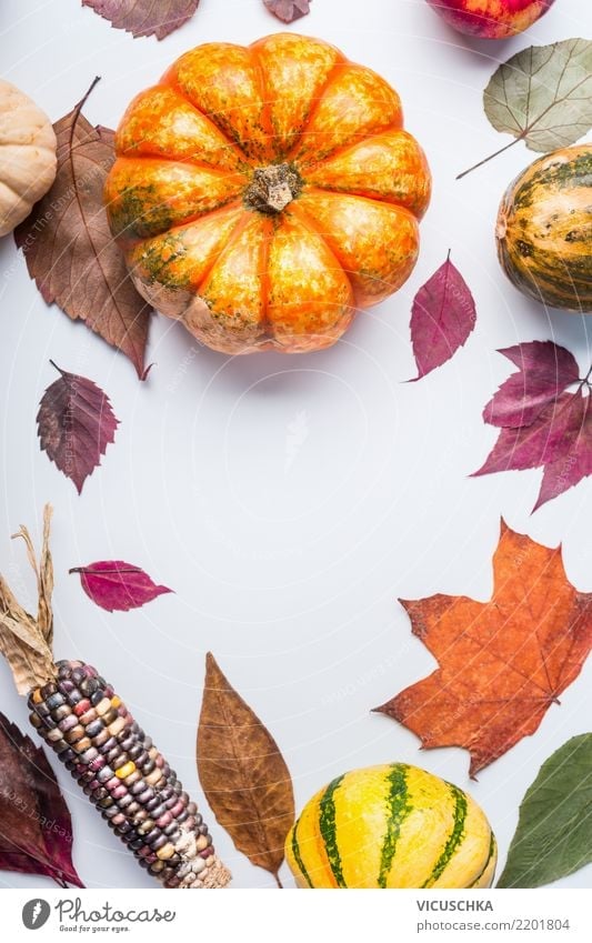 Beautiful autumn background with pumpkin and foliage Food Vegetable Lifestyle Style Design Healthy Eating Garden Thanksgiving Hallowe'en Nature Autumn Leaf