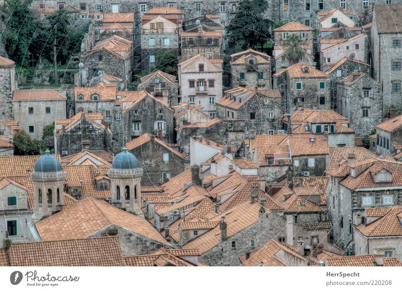 Stari grad Dubrovnik Town Old town Tourist Attraction Esthetic Authentic Beautiful Gray Red HDR Roofing tile World heritage Overview Fieldstone house