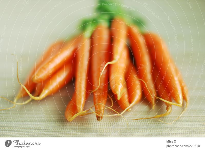 yellow rumm Food Vegetable Nutrition Organic produce Vegetarian diet Fresh Delicious Carrot Crunchy Colour photo Multicoloured Deserted Neutral Background