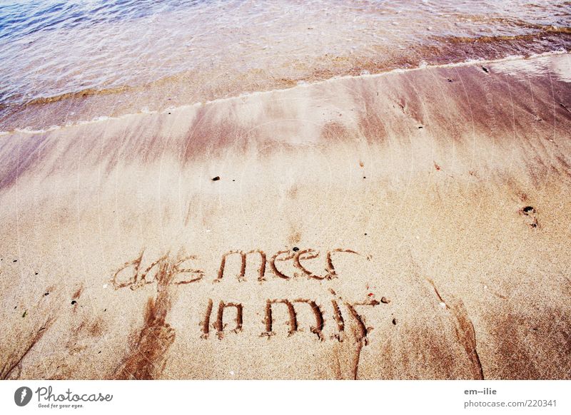 churned Nature Sand Water Summer Weather Coast Beach North Sea Ocean Sign Characters Belief Peace Colour photo Exterior shot Deserted Day Sunlight Sandy beach