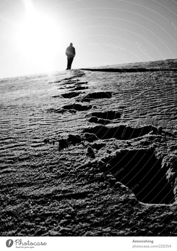 search for clues Human being Masculine Man Adults 1 Environment Nature Landscape Sky Winter Weather Snow Hill Going Cold Gray Black White Tracks Snow track