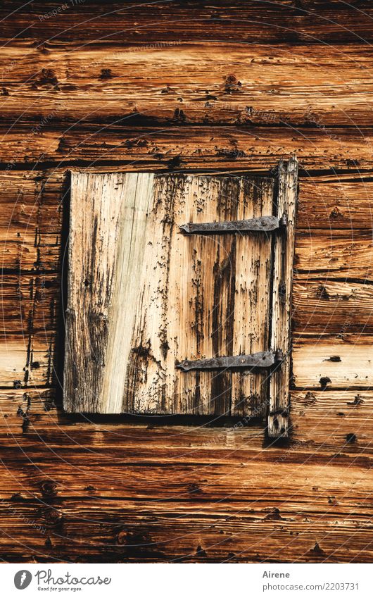 Go, open the window! Flat (apartment) Hut Wooden house Log home Alpine hut Facade Window Shutter Old Poverty Exceptional Simple Natural Brown Safety Protection
