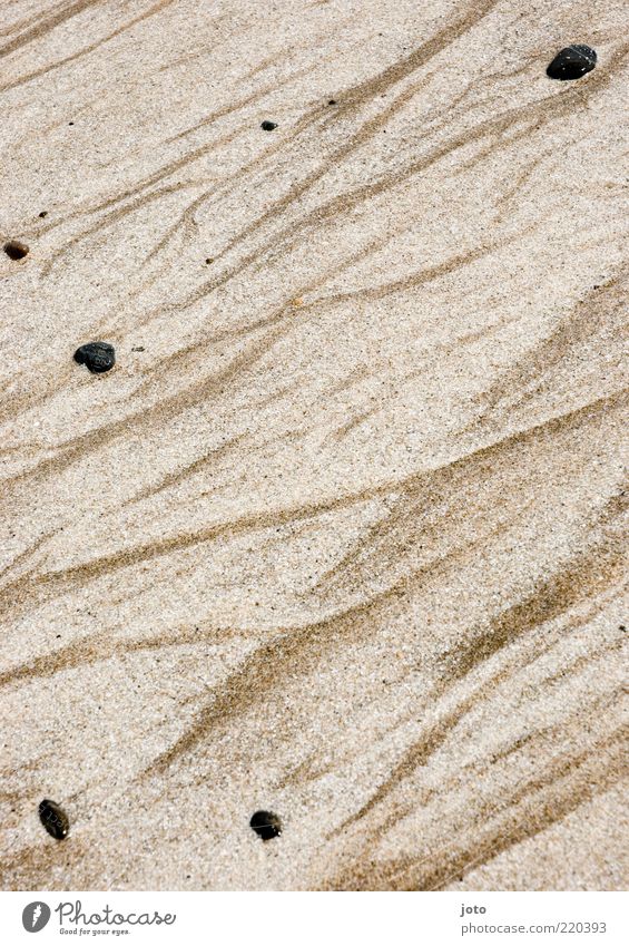 patterns of nature Environment Nature Sand Waves Beach Stone Elegant Uniqueness Wet Flow Stream Movement Bend Line Agitated Background picture Summer Tracks