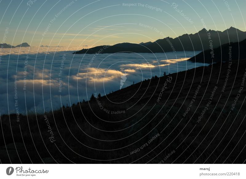 light track Relaxation Calm Leisure and hobbies Trip Mountain Nature Landscape Air Sky Cloudless sky Sunrise Sunset Sunlight Beautiful weather Fog Alps