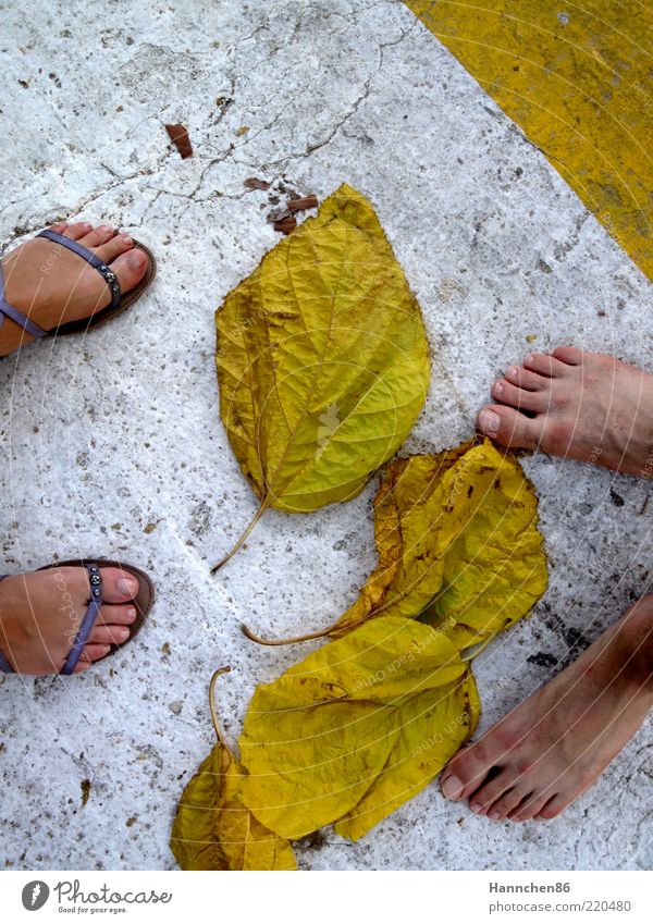 Where are you going? Human being Masculine Feminine Life Feet 2 Nature Autumn Plant Leaf Lanes & trails Flip-flops Stone Concrete Environment Yellow White