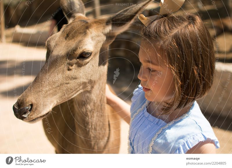 Kid with animal Lifestyle Vacation & Travel Tourism Trip Adventure Human being Child Girl Zoo Animal Pet Farm animal Wild animal Education Expectation