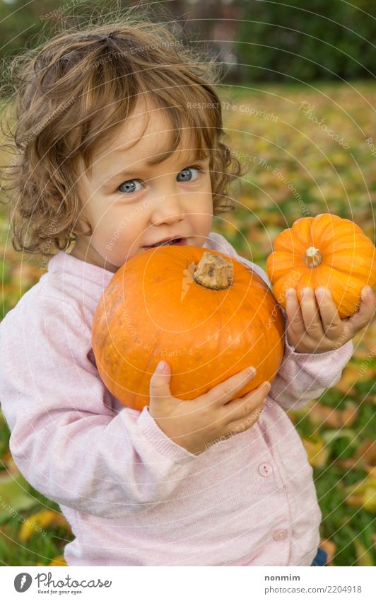 Adorable girl todler embracing pumpkins on an autumn field Joy Garden Hallowe'en Nature Autumn Leaf Park Forest Smiling Dream Embrace Happiness Bright Natural