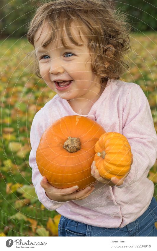 Adorable girl toddler playing with pumpkins on an autumn field Joy Garden Hallowe'en Nature Autumn Leaf Park Forest Smiling Dream Embrace Happiness Bright