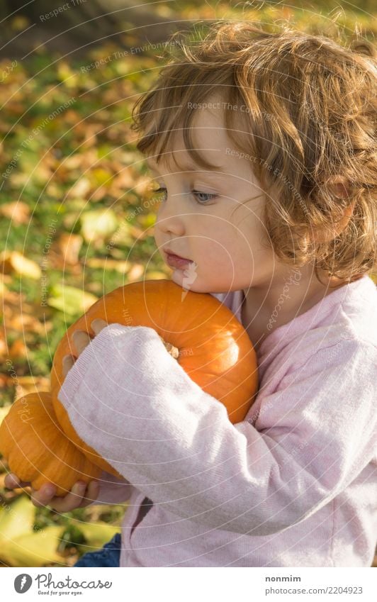 Adorable girl todler embracing pumpkins on an autumn field Garden Hallowe'en Nature Autumn Leaf Park Forest Smiling Dream Embrace Happiness Bright Natural Cute