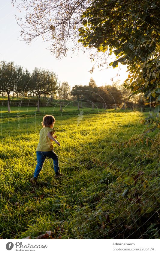 Autumn days like these... Leisure and hobbies Playing Child Infancy 1 Human being Nature Beautiful weather Tree Meadow Short-haired Wood Movement Discover