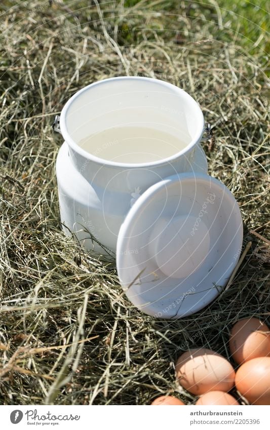Fresh milk directly from the farmer Food Egg Hen's egg Nutrition Beverage Cold drink Milk Lifestyle Shopping Healthy Eating Vacation & Travel Tourism