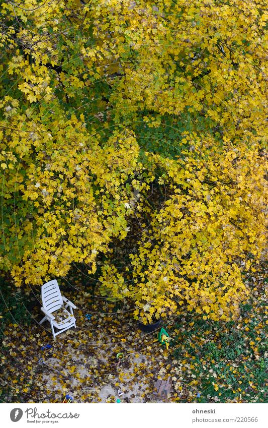 Shady place Chair Deckchair Autumn Tree Leaf Garden Meadow Loneliness Transience Colour photo Copy Space bottom Bird's-eye view Copy Space top Autumnal colours