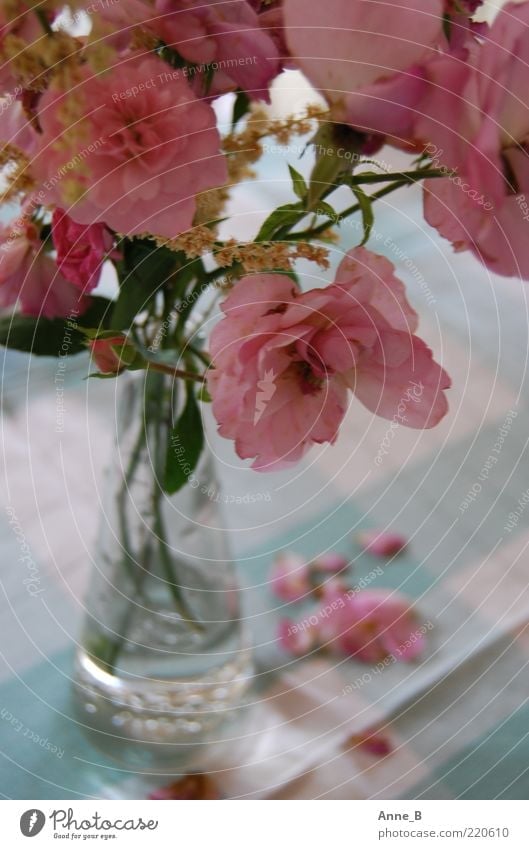 Thank you very much for the flowers! Flower Rose Blossom Decoration Bouquet Glass Fragrance Faded Esthetic Beautiful Blue Pink White Romance Peaceful Calm