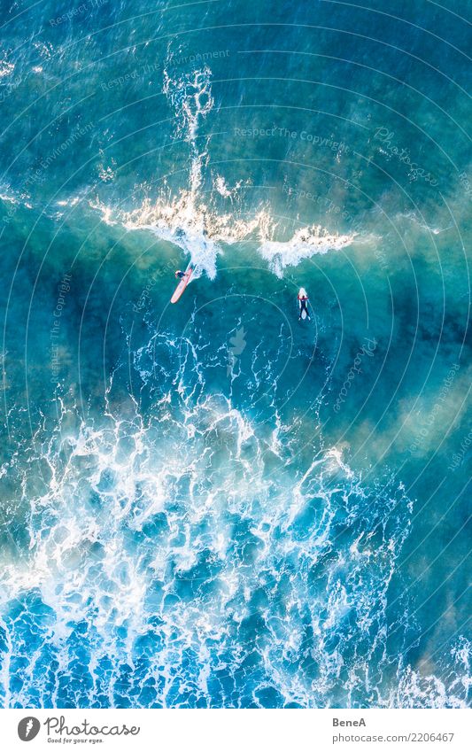 Surfers ride waves in the turquoise blue sea Exotic Joy Relaxation Swimming & Bathing Leisure and hobbies Vacation & Travel Tourism Trip Adventure