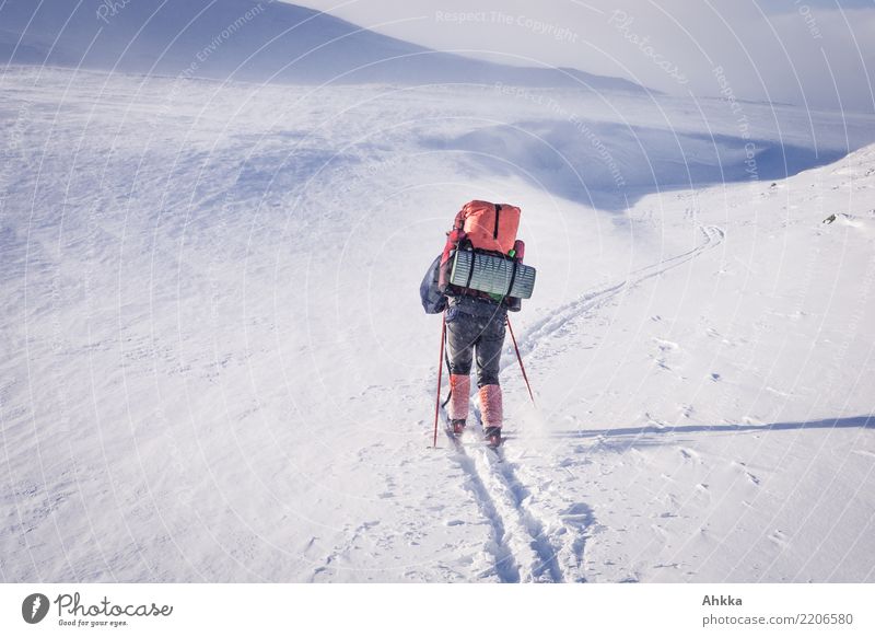 Skier in snowy landscape with hiking backpack Adventure Winter sports Young woman Youth (Young adults) 1 Human being Landscape Snow Mountain Norway Authentic