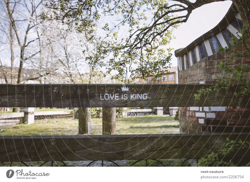 Love is King Valentine's Day Wedding Beautiful weather Plant Tree Grass Wood Sign Graffiti To enjoy Communicate Kissing Emotions Happy Happiness Contentment