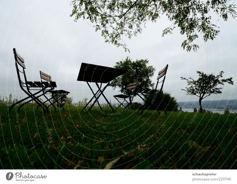 All at home ... Nature Landscape Sky Autumn Bad weather Tree Grass Sit Sadness Longing Homesickness Loneliness Transience Chair Table Colour photo Exterior shot