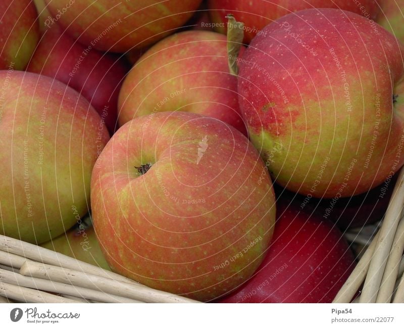 autumn apples Nature Healthy Food. fruit Apple