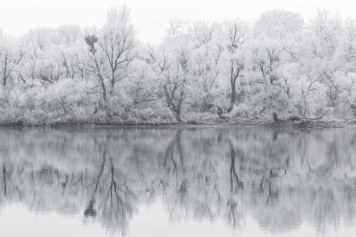 SOON Winter Nature Landscape Snow Forest Lakeside Cold Black White Calm Sadness Bizarre Loneliness Climate Surrealism Symmetry Grief Environment Irritation