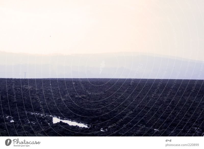 ___ Earth Field Horizon Loneliness Empty Doomed Freedom Infinity Gloomy Black Fallow land Plow Agriculture Copy Space top Bleak Sowing Floor covering Fog