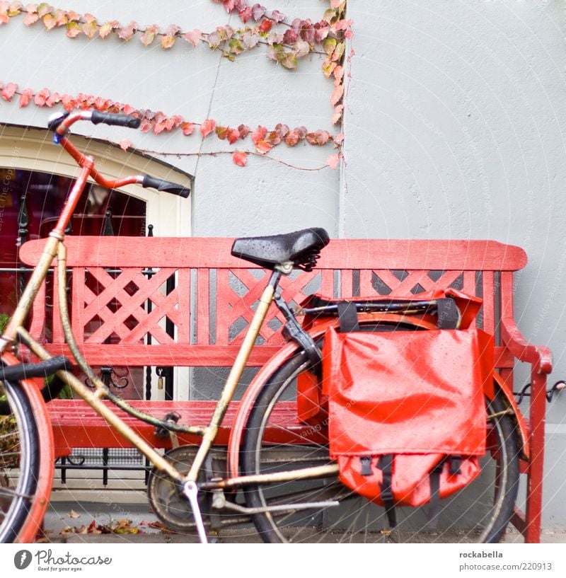 amsterdam color profiles. Cycling tour Means of transport Vehicle Bicycle Esthetic Red Mobility Bench Autumn Autumn leaves Autumnal Saddlebag Colour photo
