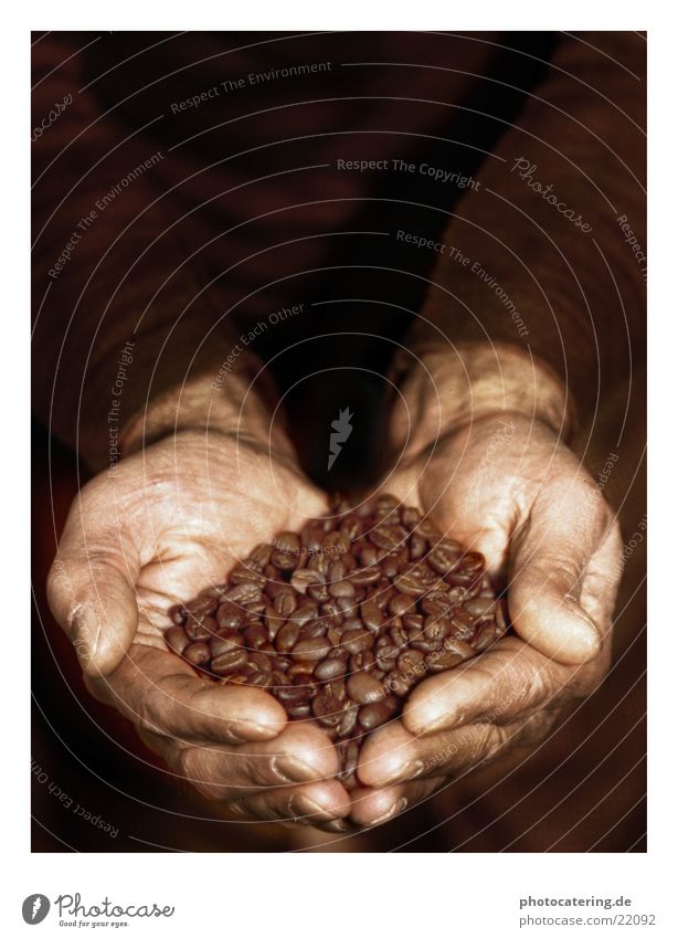 coffee Village Café Hand Beans Brown Work and employment Nutrition