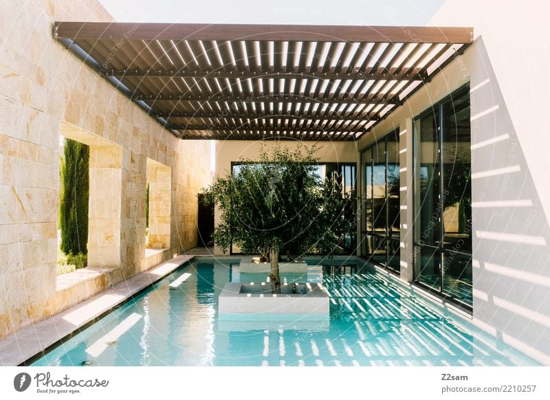 minimalism III Ocean Sunlight Summer Tree Manmade structures Building Architecture Swimming pool Esthetic Sharp-edged Elegant Fresh Modern Town Design