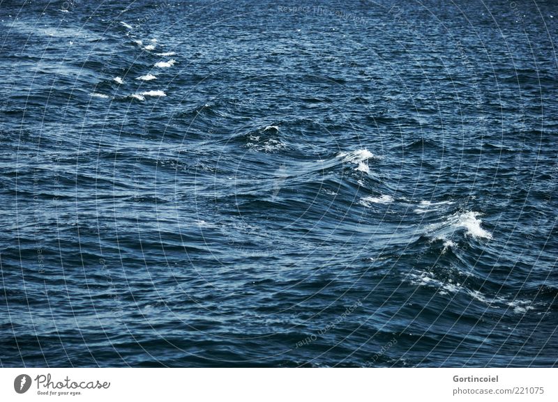 bosporus Waves Ocean Wet Wild Blue Swell Water The Bosphorus Istanbul Turkey Strait Colour photo Surface of water Crest of the wave White crest Copy Space
