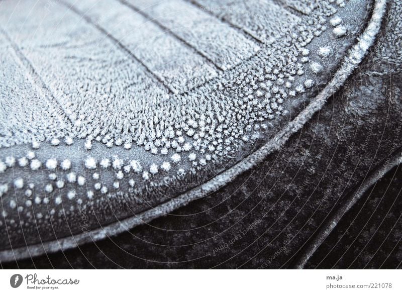 November morning Autumn Ice Frost Motorcycle motorcycle seat Cold Black White Exterior shot Close-up Deserted Ice sheet Seat Frozen Hoar frost Detail