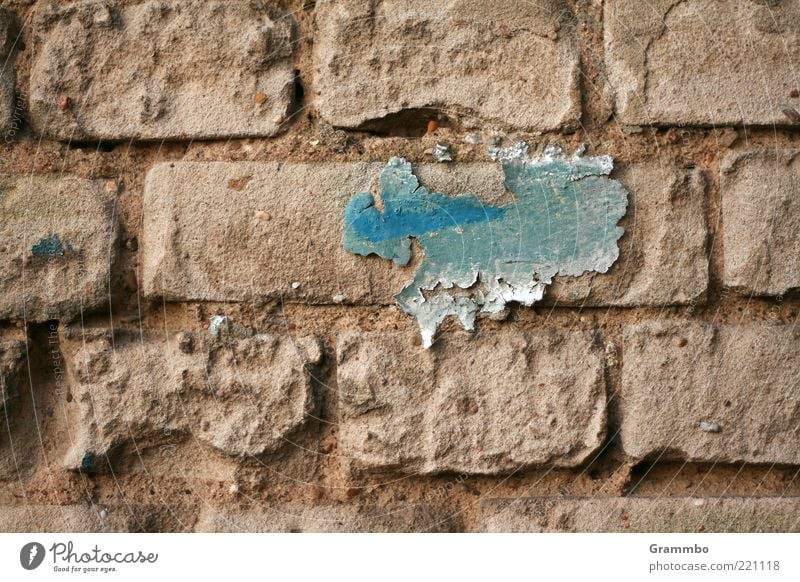 Ice Age in North America Blue Gray Map Dye Derelict Flake off Wall (building) Stone Insulation Colour photo Exterior shot Weathered Broken Deserted Brick wall