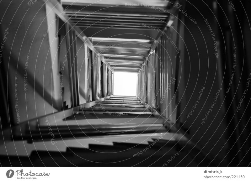 stairs spiral Night sky Places Building Architecture Stairs Concrete Dark Tall Long Black White Perspective staircase Spiral Steps construction Descent design