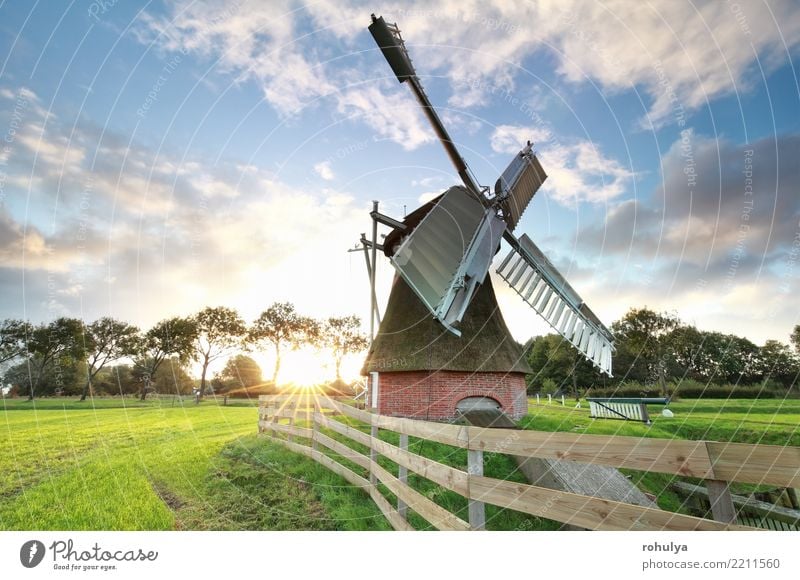 beautiful sunrise behind Dutch windmill Vacation & Travel Summer Sun Nature Landscape Sky Clouds Beautiful weather Grass Meadow Building Architecture Wood Old