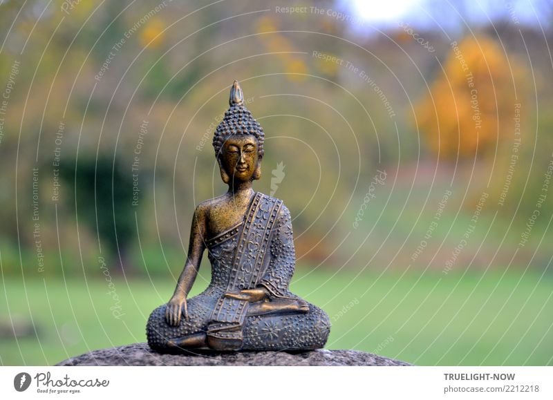 Buddha on stone in park Lifestyle Healthy Wellness Harmonious Well-being Contentment Senses Relaxation Calm Meditation Sculpture Culture Subculture