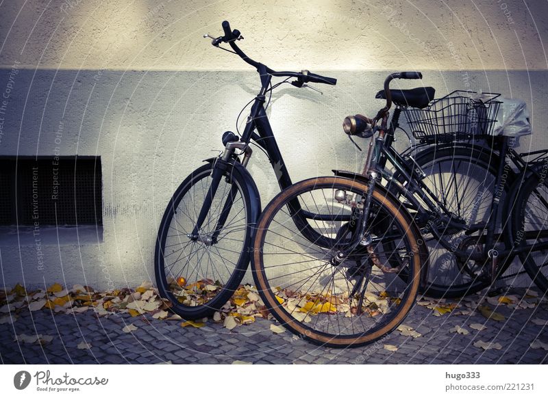 Berlin VIII Bicycle Leaf House (Residential Structure) Sidewalk Wall (barrier) Wall (building) Means of transport Ladies' bicycle Stand Simple 2 Basket