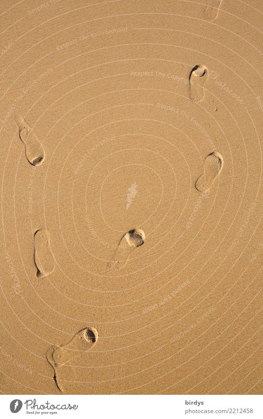 Traces in the sand Beautiful weather Beach Sand Footprint Going Esthetic Simple Positive Brown Yellow Movement Relationship Loneliness Resolve Identity Divide