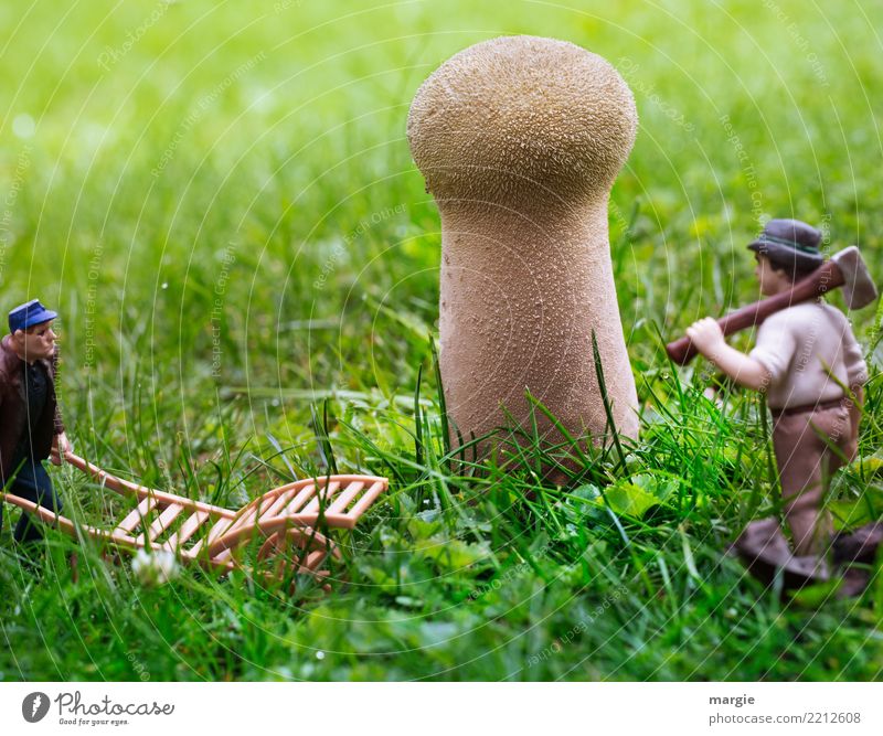 Miniwelten - Mushroom harvest Work and employment Profession Gardening Agriculture Forestry Trade Services Human being Masculine Man Adults 2 Nature Animal