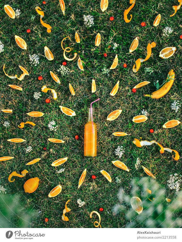 Summer creative concept Fruit Orange Picnic Organic produce Cold drink Lemonade Juice Joy Vacation & Travel Freedom Nature Spring Flower Grass Garden Park