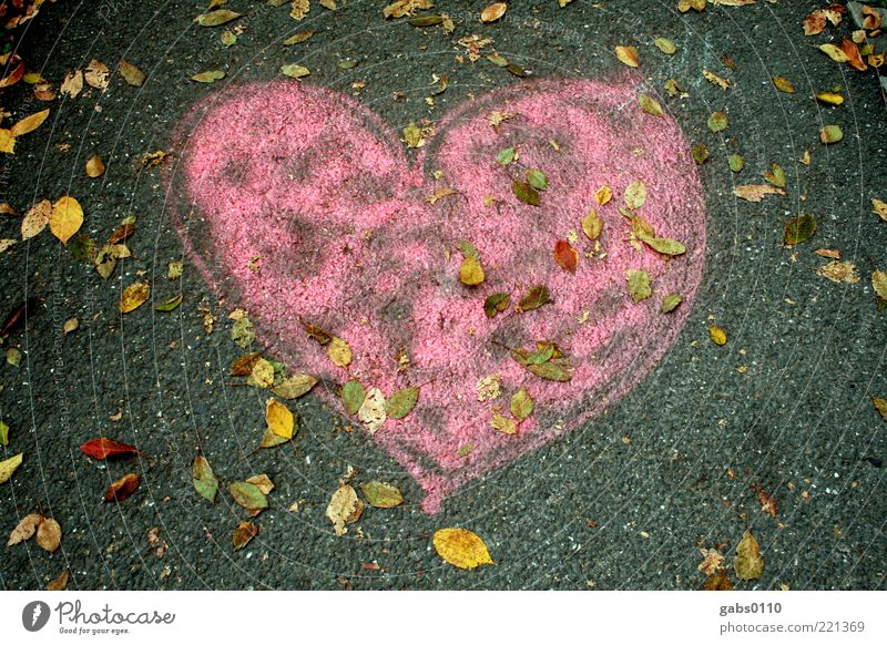 autumn heart Environment Autumn Street Love Heart Sidewalk Asphalt Pink Gray Yellow Green Street art Creativity Emotions Graz Affection Deserted