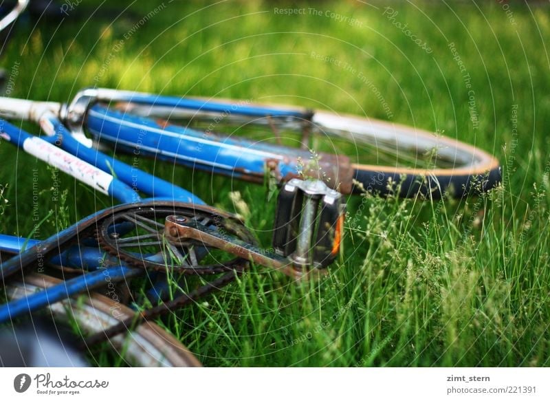 Blue wheel in green Summer Grass Bicycle Old Green Serene Colour photo Exterior shot Deserted Copy Space right Copy Space top Day Meadow Lie Bicycle frame Pedal