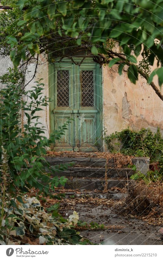 green door overgrown plants House (Residential Structure) Garden Plant Tree Leaf Ruin Architecture Door Wood Old Retro Green Moody Tradition Lush abandoned