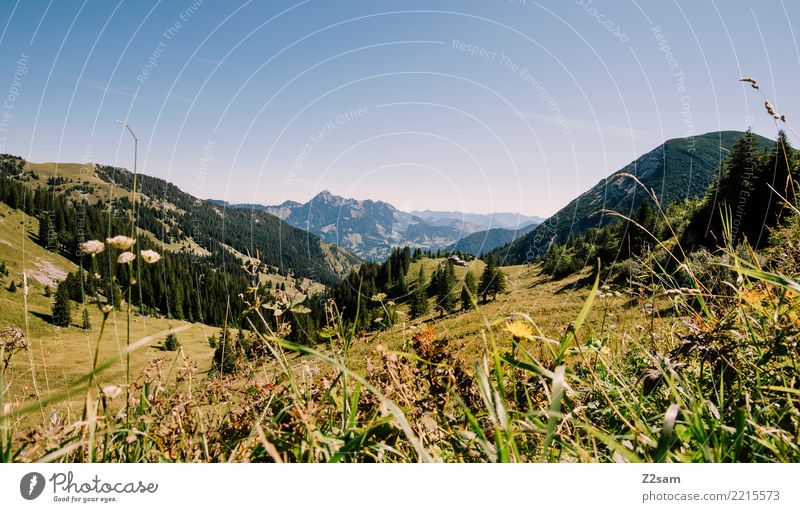 direction sudelfeld Mountain Hiking Environment Nature Landscape Summer Beautiful weather Grass Meadow Alps Peak Far-off places Gigantic Tall Natural Blue Green