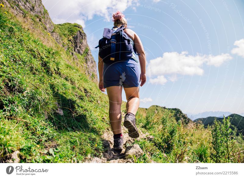 Ascent to the Upper Bavarian Rotwand (Alps) Mountain Hiking Young woman Youth (Young adults) 30 - 45 years Adults Nature Landscape Summer Grass Meadow Backpack