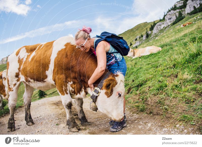 cow cuddles Leisure and hobbies Mountain Hiking Young woman Youth (Young adults) 18 - 30 years Adults Nature Landscape Summer Beautiful weather Alps Peak