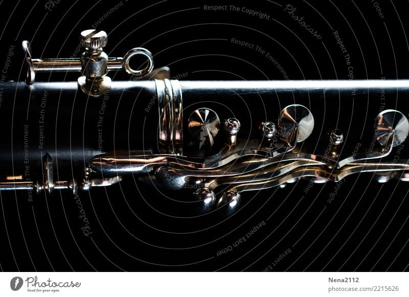 Clarinet 03 Art Music Listen to music Concert Outdoor festival Stage Opera Band Musician Orchestra Breathe Exceptional Emotions Moody Joy Optimism Success Power